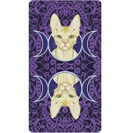 Tarot de los Gatos Paganos - Magdelina Messina