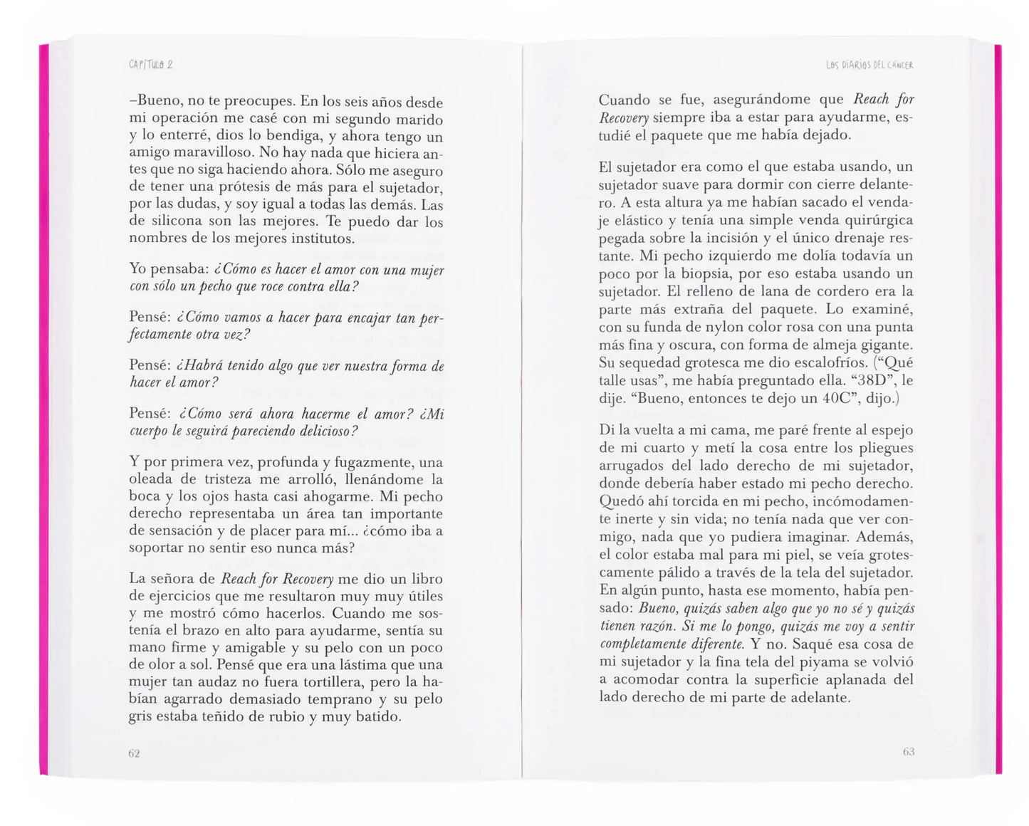 Los diarios del cáncer - Audre Lorde