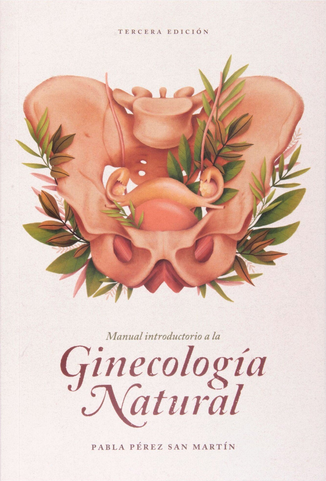 Manual introductorio a la Ginecología Natural - Pabla Pérez San Martín