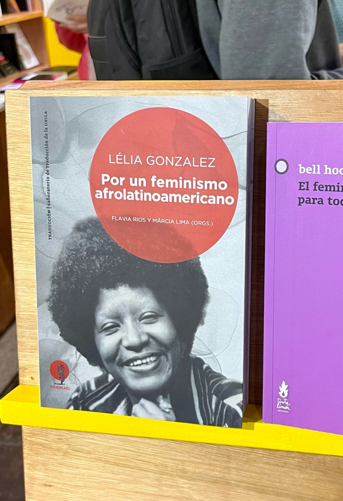 Por un feminismo afrolatinoamericano - Lélia Gonzalez