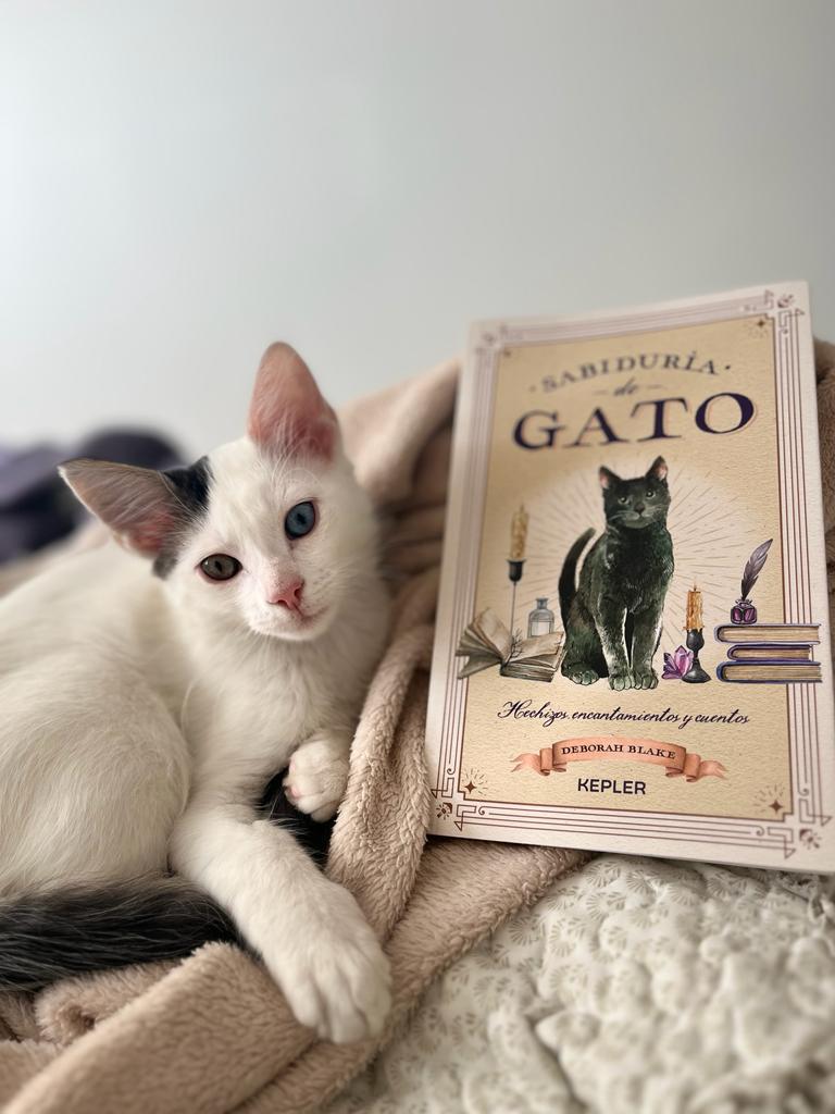 Sabiduría de gato - Deborah Blake