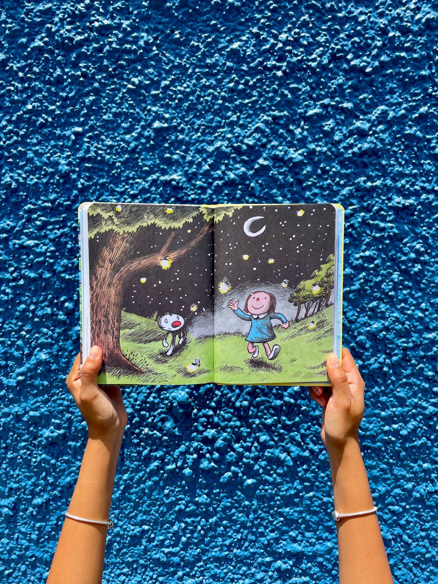 Bitácora de la Felicidad Macanudo - Liniers