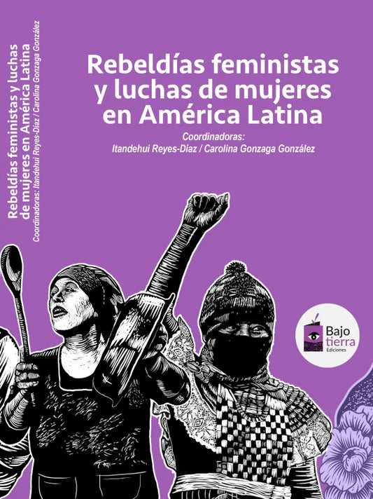 Rebeldías feministas y luchas de mujeres en América Latina - Carolina Gonzada