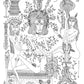 Maravilla Tarot - Rosanna Staus