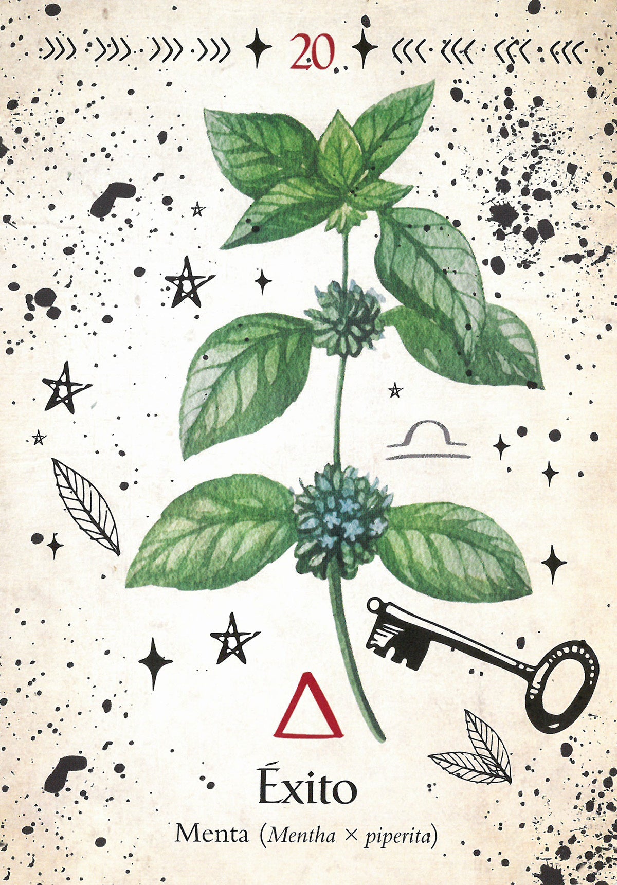 Oráculo de la bruja verde - Cheralyn Darcey