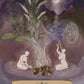 Astrología herbal - Oráculo - Adriana Ayales