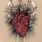 El Oráculo del Amor - Athene Noctua