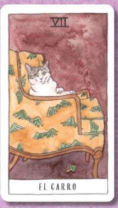 Tarot de lo gatos - Megan Lynn Kott (En español)