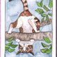 Tarot de lo gatos - Megan Lynn Kott (En español)