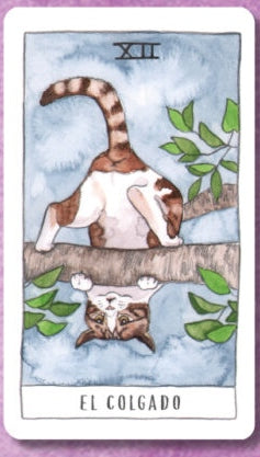 Tarot de lo gatos - Megan Lynn Kott (En español)
