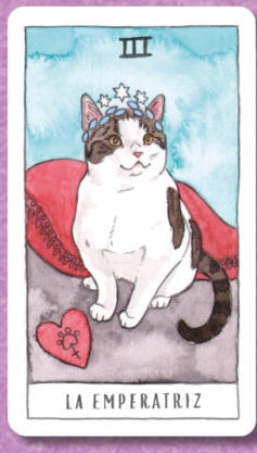 Tarot de lo gatos - Megan Lynn Kott (En español)