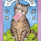 Tarot de lo gatos - Megan Lynn Kott (En español)