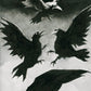 Tarot murder of crows - Corrado Roi