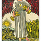 Tarot Original 1909 - Arthur Edward Waite - Pamela Colman Smith