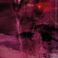 Incubus Tarot