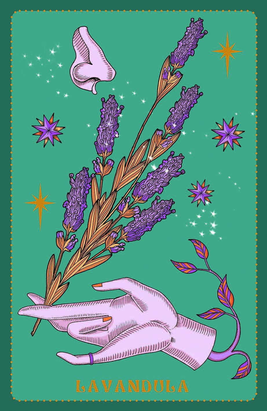 Herbarium Oracle Cards