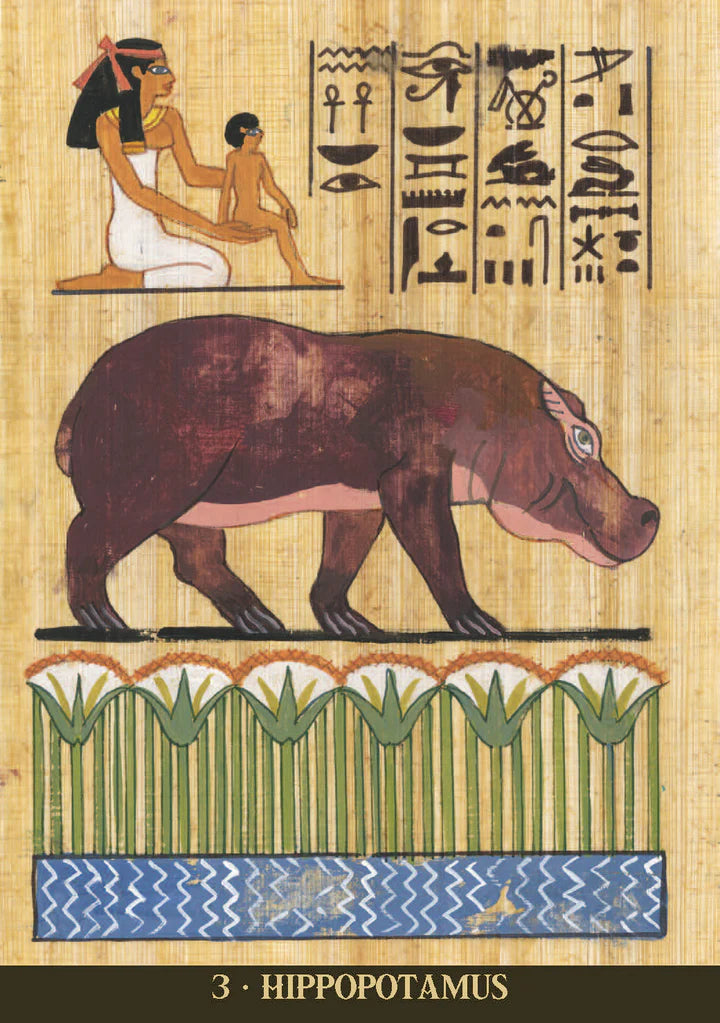 Egyptian Sacred Animals Oráculo