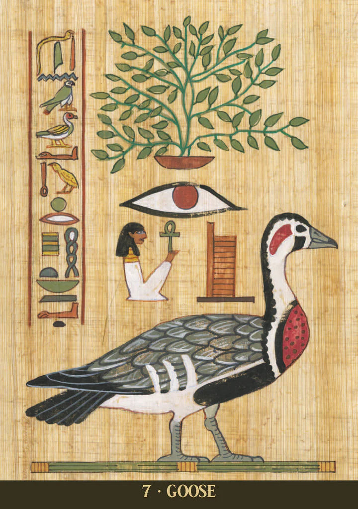Egyptian Sacred Animals Oráculo