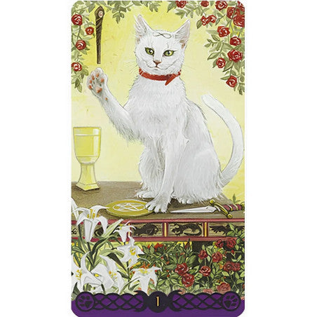 Tarot de los Gatos Paganos - Magdelina Messina