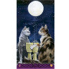 Tarot de los Gatos Paganos - Magdelina Messina
