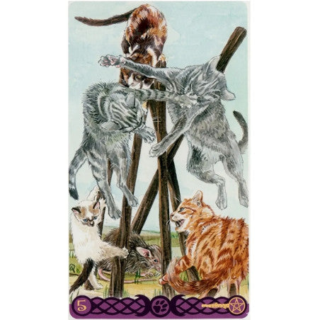 Tarot de los Gatos Paganos - Magdelina Messina