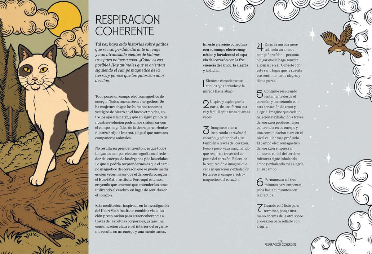Gatos y Meditación - Valerie Oula