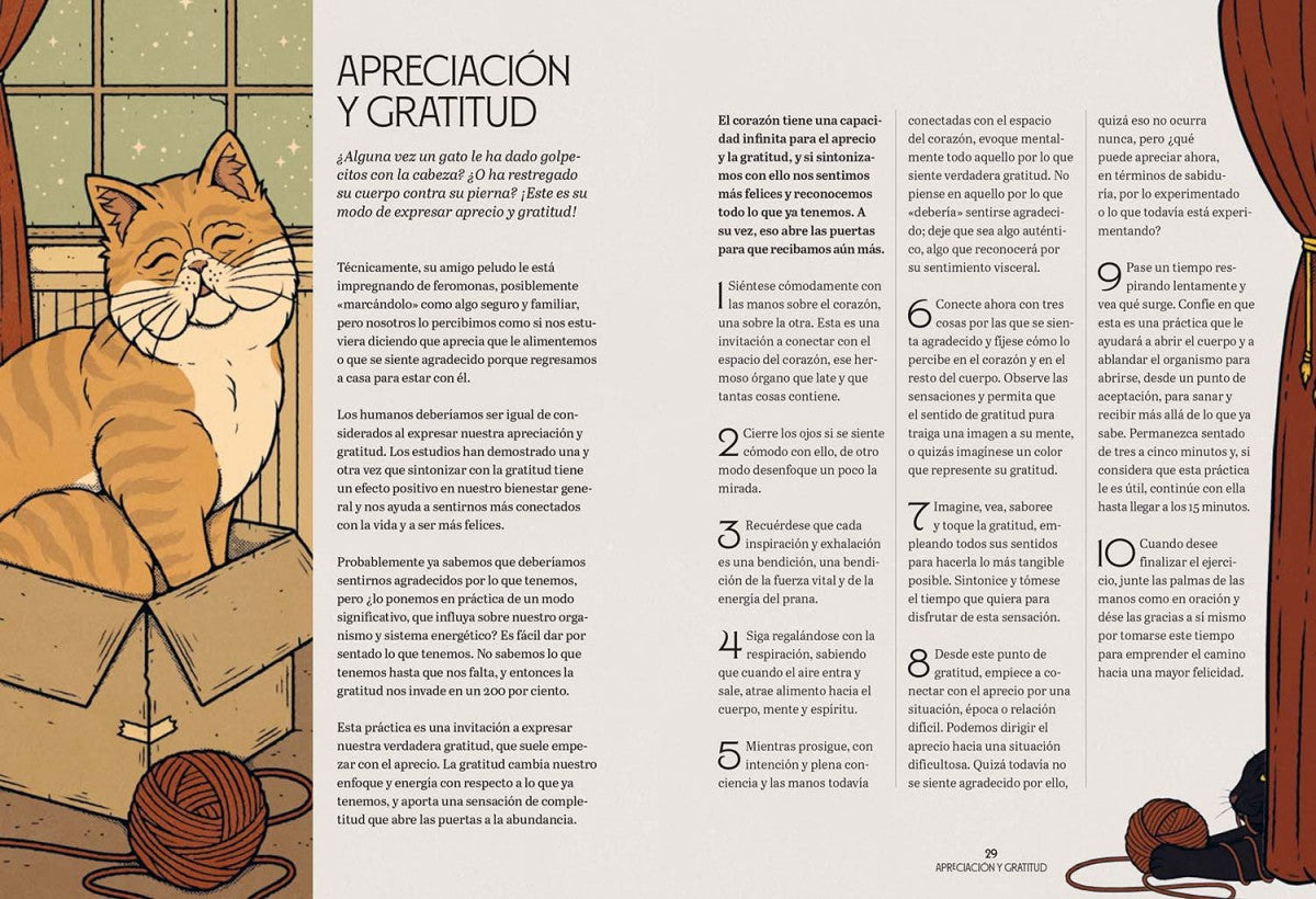 Gatos y Meditación - Valerie Oula