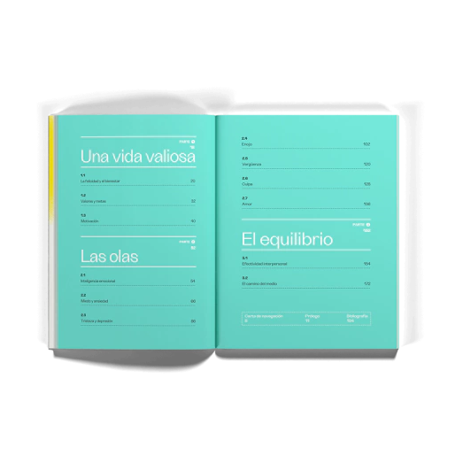 Las Olas, conceptos y herramientas terapéuticas de salud mental