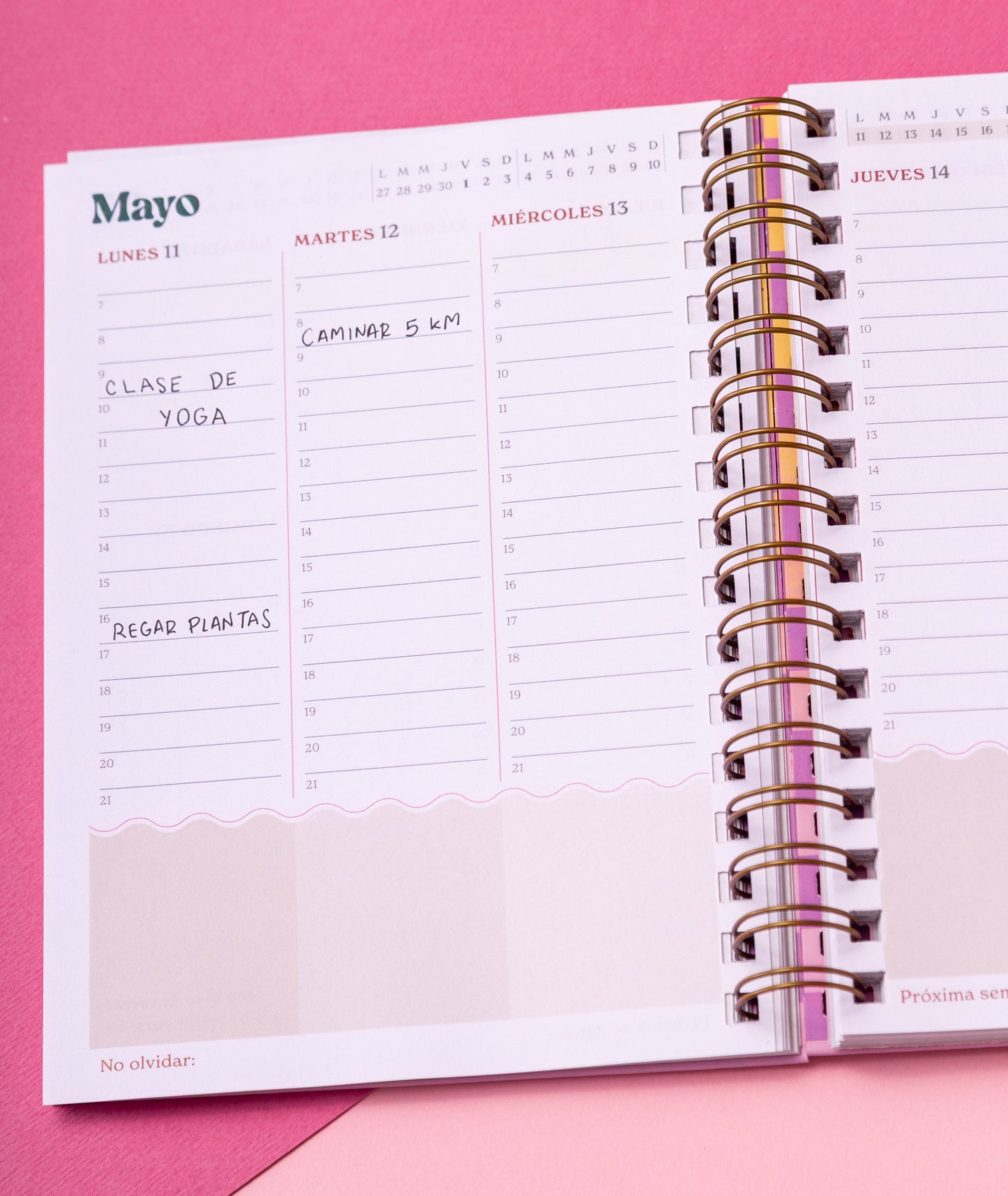 Agenda Abundancia 2026 - Ojo Turco