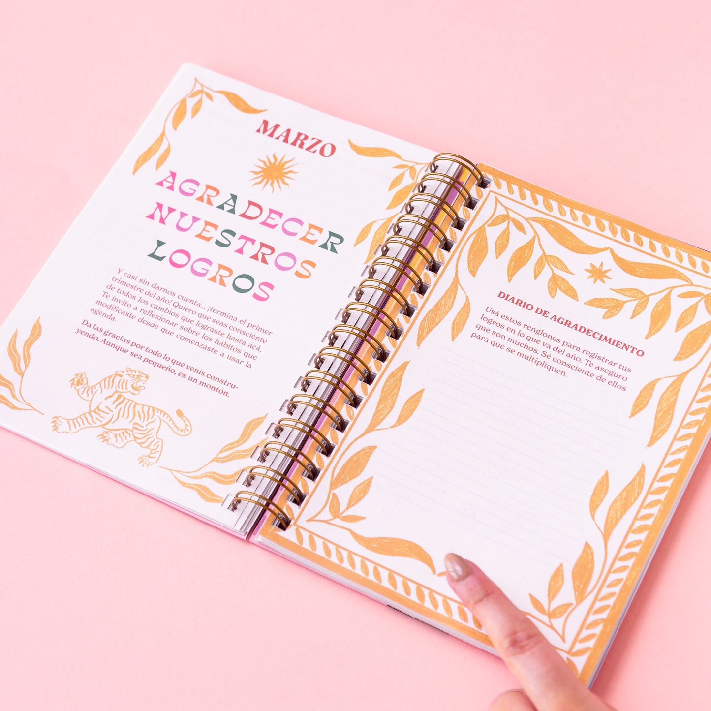 Agenda Abundancia 2026 - Ojo Turco