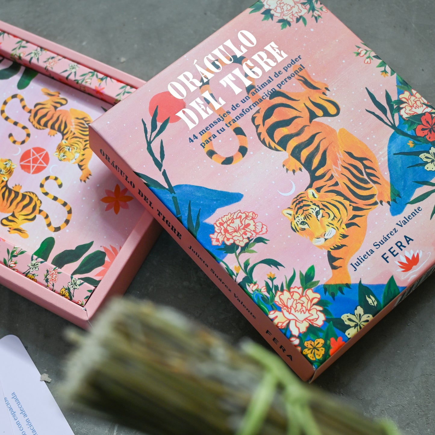 Oráculo del Tigre - Julieta Suárez Valente