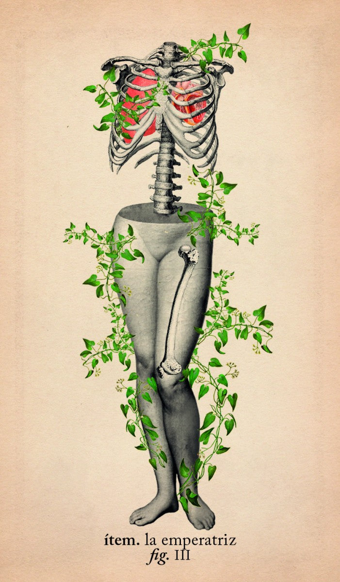Tarot de Anatomía y Botánica Antiguas