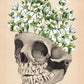Tarot de Anatomía y Botánica Antiguas