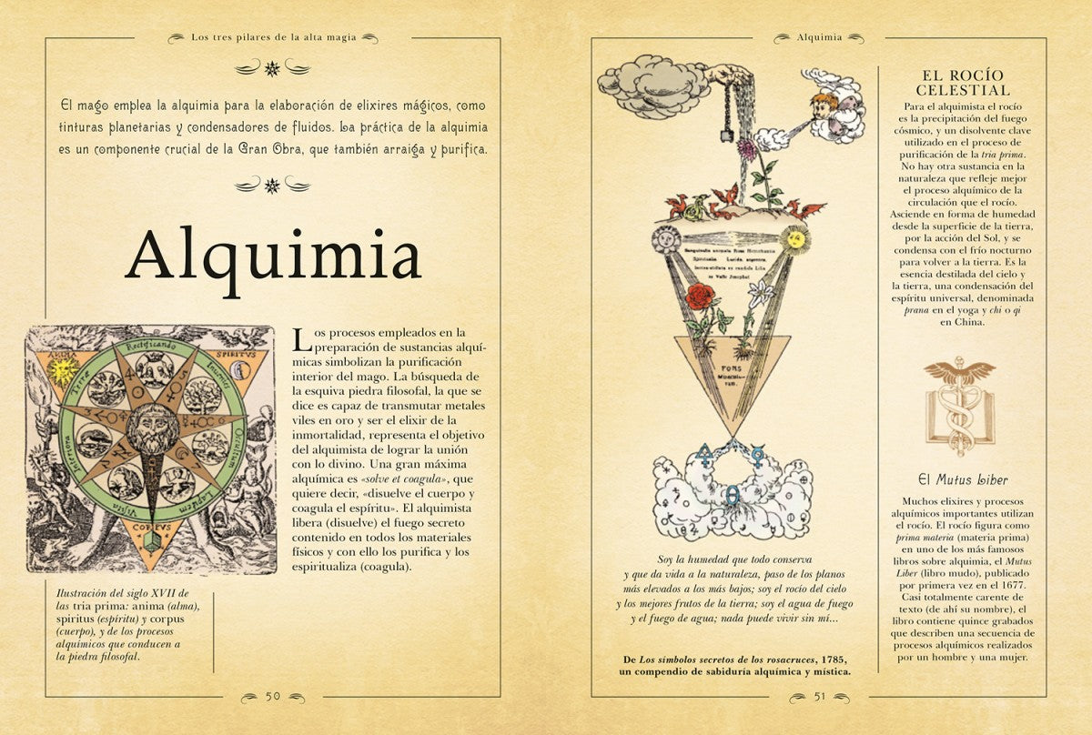 Los secretos de la magia - Frances Melville
