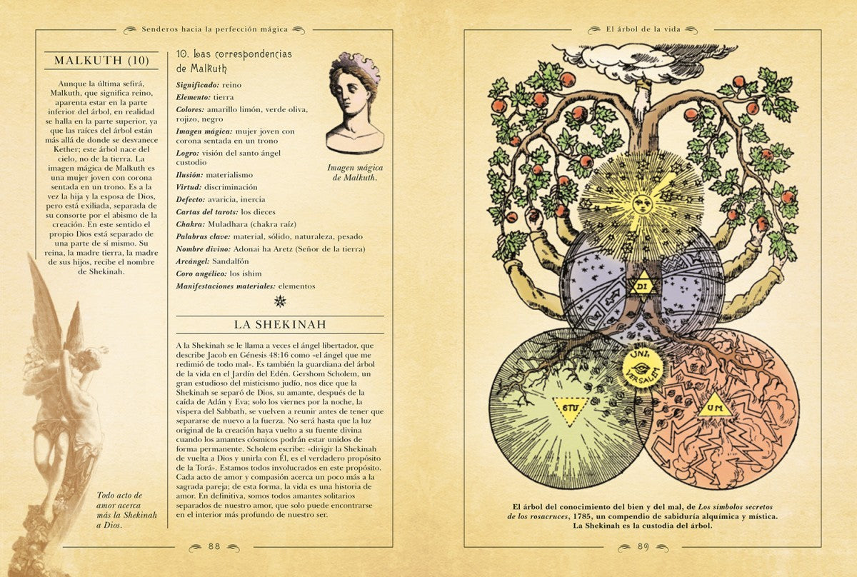 Los secretos de la magia - Frances Melville